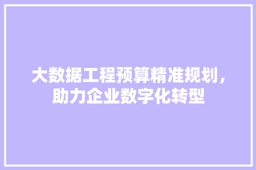 大数据工程预算精准规划，助力企业数字化转型