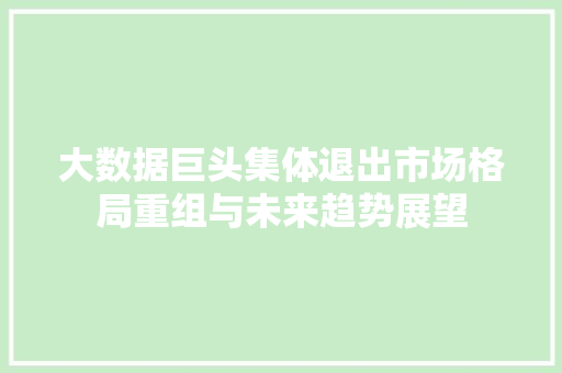 大数据巨头集体退出市场格局重组与未来趋势展望 编程语言