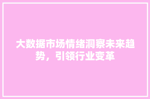 大数据市场情绪洞察未来趋势，引领行业变革