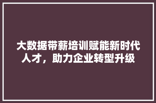 大数据带薪培训赋能新时代人才，助力企业转型升级 网络技术