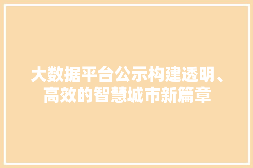 大数据平台公示构建透明、高效的智慧城市新篇章