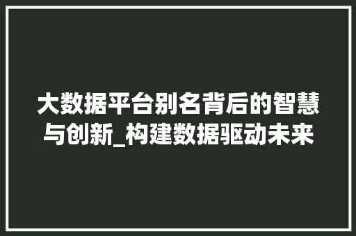 大数据平台别名背后的智慧与创新_构建数据驱动未来