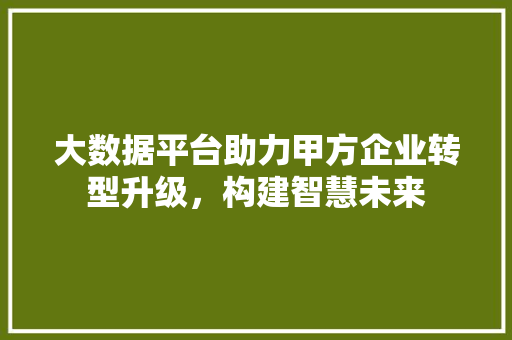 大数据平台助力甲方企业转型升级，构建智慧未来