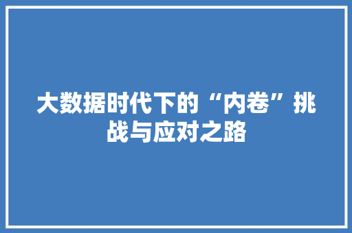 大数据时代下的“内卷”挑战与应对之路