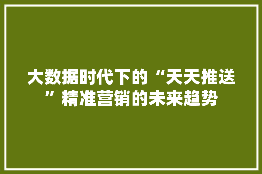 大数据时代下的“天天推送”精准营销的未来趋势 编程语言 大数据时代下的“天天推送”精准营销的未来趋势 编程语言