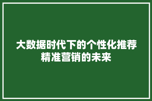 大数据时代下的个性化推荐精准营销的未来 电脑基础