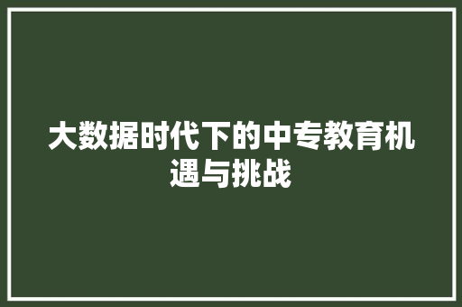 大数据时代下的中专教育机遇与挑战 编程语言