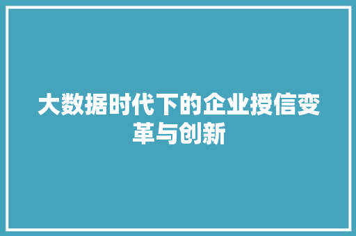 大数据时代下的企业授信变革与创新 电脑配置