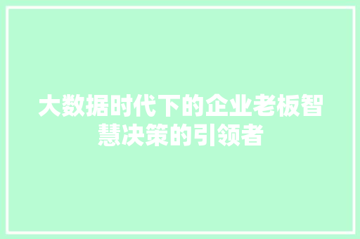 大数据时代下的企业老板智慧决策的引领者