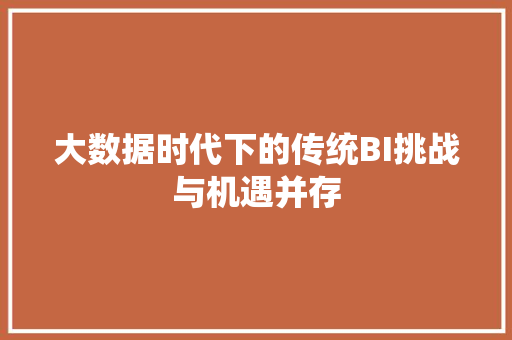 大数据时代下的传统BI挑战与机遇并存 网络技术