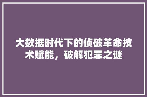 大数据时代下的侦破革命技术赋能，破解犯罪之谜 编程语言