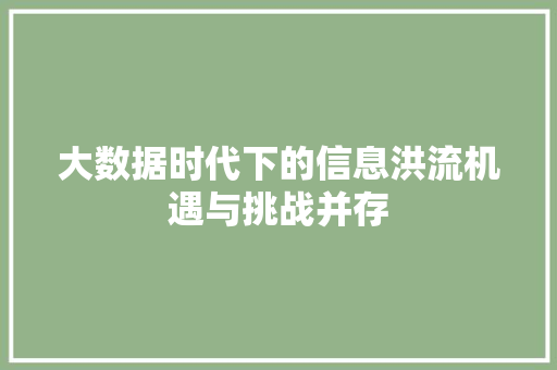 大数据时代下的信息洪流机遇与挑战并存