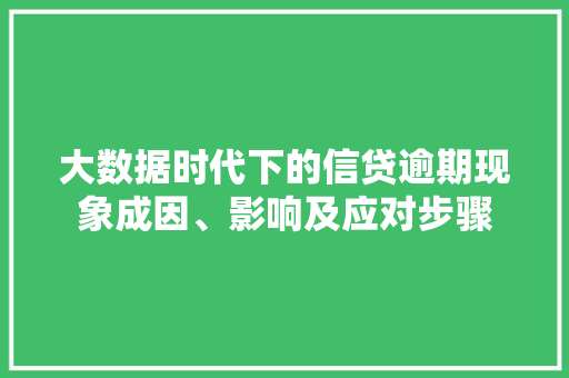 大数据时代下的信贷逾期现象成因、影响及应对步骤