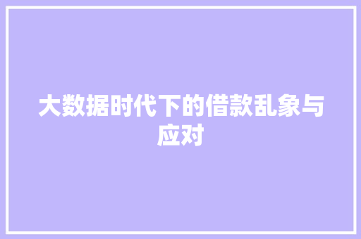 大数据时代下的借款乱象与应对