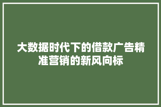 大数据时代下的借款广告精准营销的新风向标