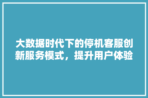大数据时代下的停机客服创新服务模式，提升用户体验