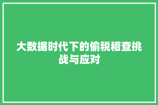 大数据时代下的偷税稽查挑战与应对