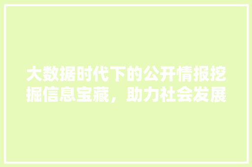 大数据时代下的公开情报挖掘信息宝藏，助力社会发展 编程语言