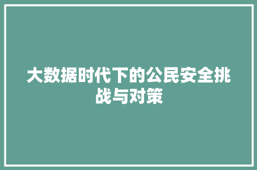 大数据时代下的公民安全挑战与对策 编程语言 大数据时代下的公民安全挑战与对策 编程语言
