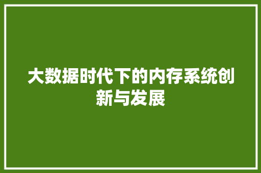大数据时代下的内存系统创新与发展 电脑配置