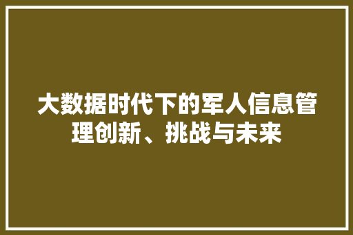 大数据时代下的军人信息管理创新、挑战与未来