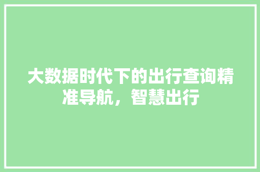 大数据时代下的出行查询精准导航，智慧出行 操作系统