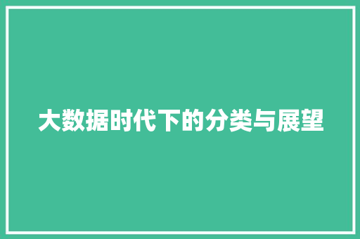 大数据时代下的分类与展望 编程语言