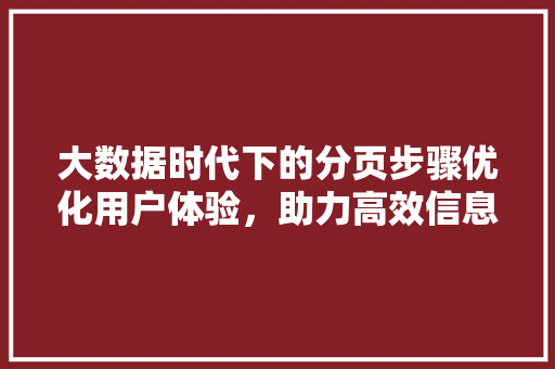 大数据时代下的分页步骤优化用户体验，助力高效信息检索 电脑基础