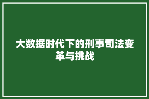 大数据时代下的刑事司法变革与挑战 电脑故障维修
