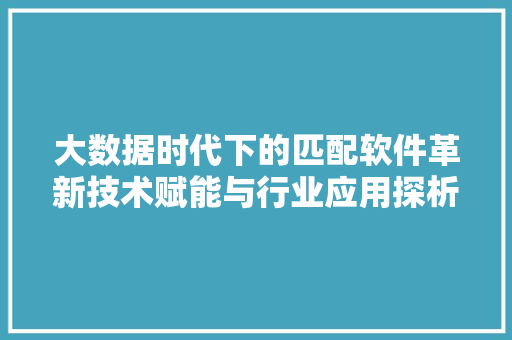 大数据时代下的匹配软件革新技术赋能与行业应用探析