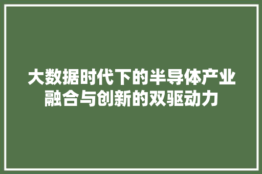 大数据时代下的半导体产业融合与创新的双驱动力 编程语言