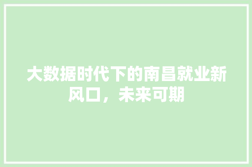 大数据时代下的南昌就业新风口，未来可期 操作系统