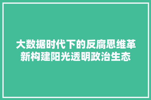 大数据时代下的反腐思维革新构建阳光透明政治生态