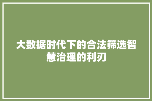 大数据时代下的合法筛选智慧治理的利刃