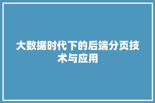 大数据时代下的后端分页技术与应用