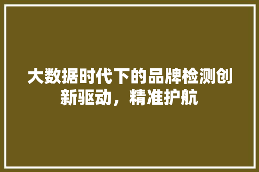 大数据时代下的品牌检测创新驱动，精准护航