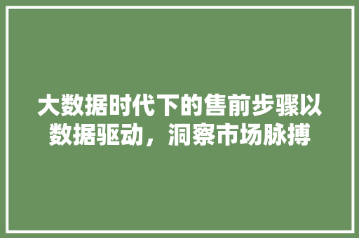 大数据时代下的售前步骤以数据驱动，洞察市场脉搏
