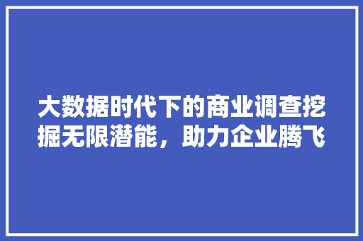 大数据时代下的商业调查挖掘无限潜能，助力企业腾飞