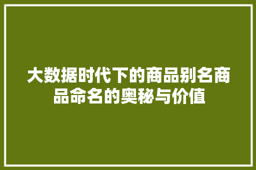 大数据时代下的商品别名商品命名的奥秘与价值