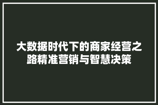 大数据时代下的商家经营之路精准营销与智慧决策