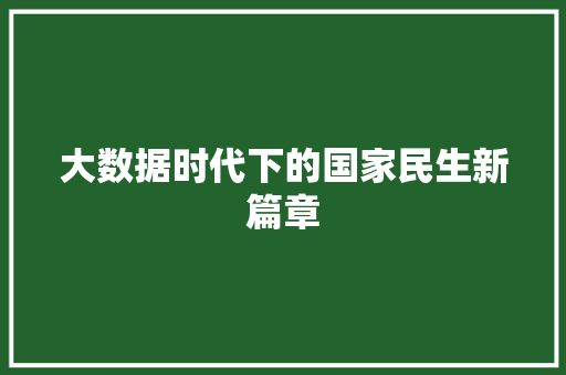 大数据时代下的国家民生新篇章