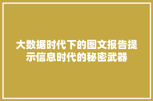 大数据时代下的图文报告提示信息时代的秘密武器