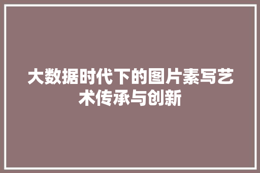 大数据时代下的图片素写艺术传承与创新
