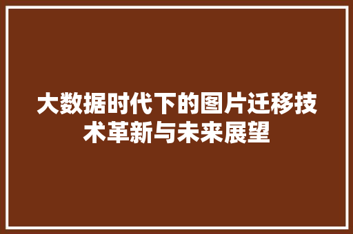 大数据时代下的图片迁移技术革新与未来展望 编程语言
