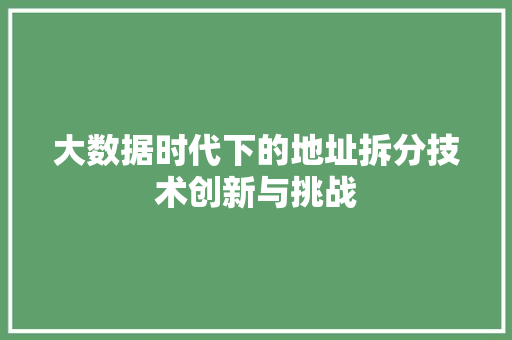 大数据时代下的地址拆分技术创新与挑战