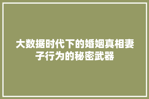 大数据时代下的婚姻真相妻子行为的秘密武器 电脑故障维修