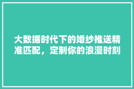 大数据时代下的婚纱推送精准匹配，定制你的浪漫时刻 编程语言