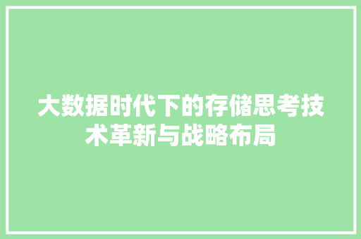 大数据时代下的存储思考技术革新与战略布局 电脑配置