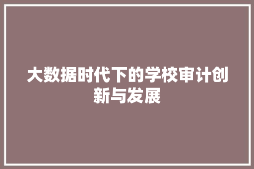 大数据时代下的学校审计创新与发展