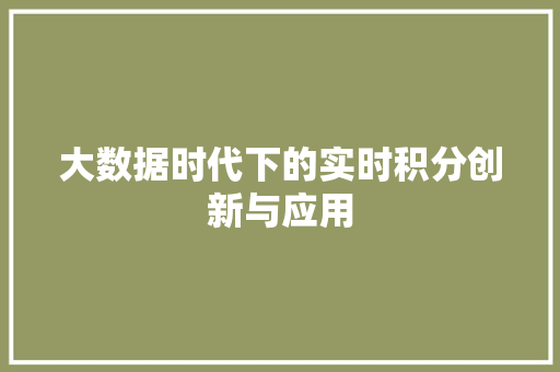 大数据时代下的实时积分创新与应用